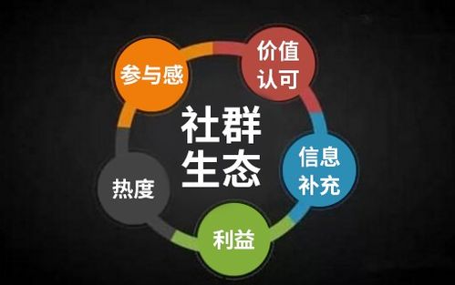 上海开发一个java商城系统要多久